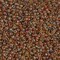 Miyuki 11 Round Seed Bead, 11-4501, Transparent Light Topaz Picasso, 13 grams
